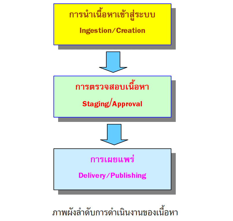 cms (2569) ระบบหาของความหมายของจากอินเทอร์เน็ตกําเนิดมาโลกขอ 3 cms content