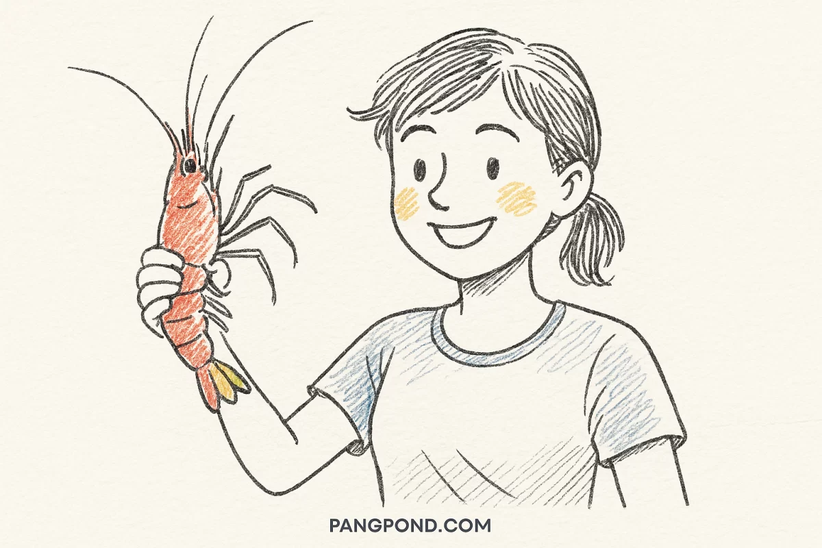 ฝันว่าจับกุ้งตีเลข (2569) ความหมายของความจับกุ้งณแห่งโชคลาภห