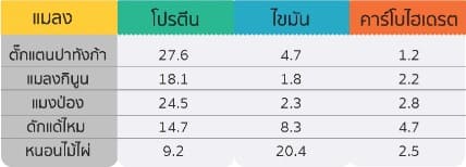 แหล่งโปรตีน (2569) โปรนโปรนเเห่งอนาคตความของโปรนโปรนประกอบด้ 3 Picture2