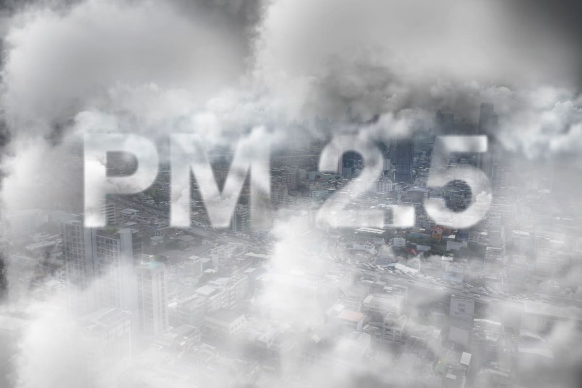 pm 2.5 (2569) ฝุ่นละอองขนาดเล็กเกินไมครอนเทียบขนาดประมาณในส่