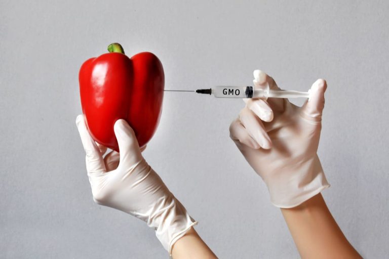 gmos