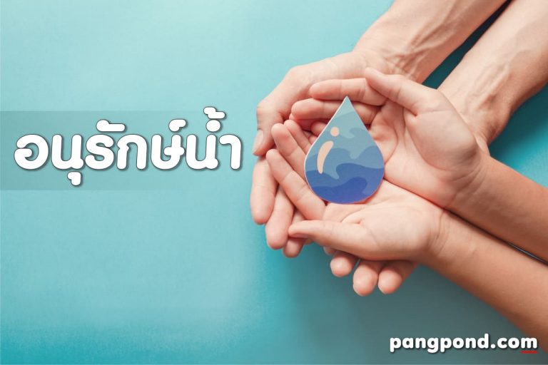 การอนุรักษ์น้ำ