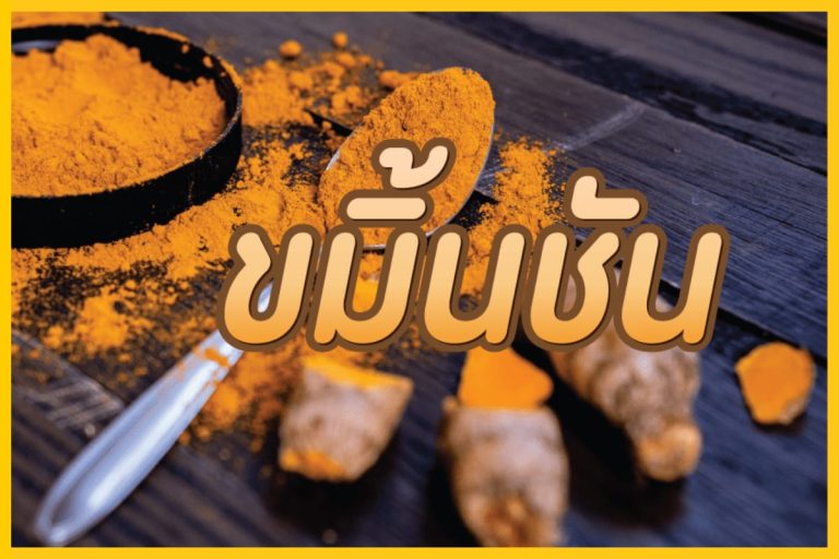 ขมิ้นชัน