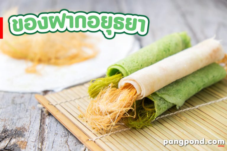 ของฝากอยุธยา