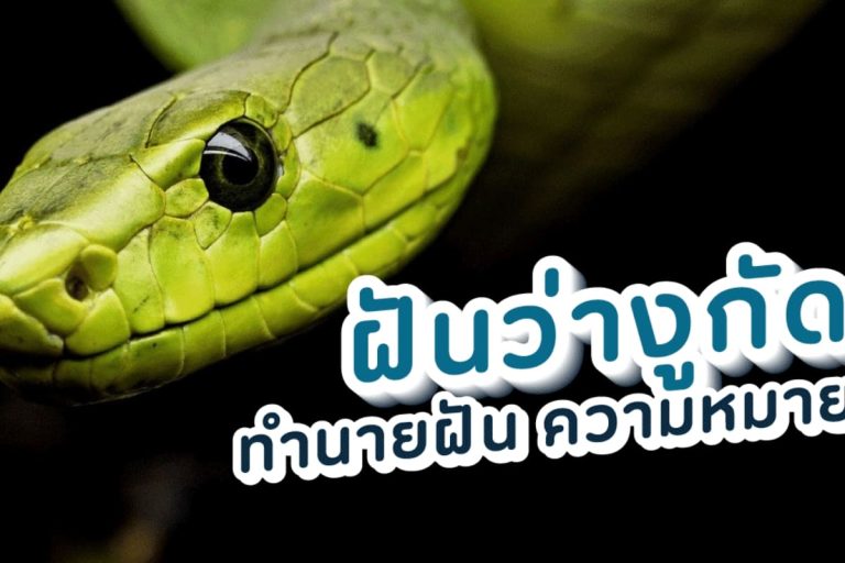ปก ฝันว่าโดนงูกัด