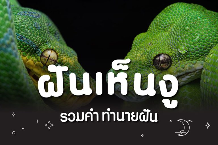 ฝันเห็นงู