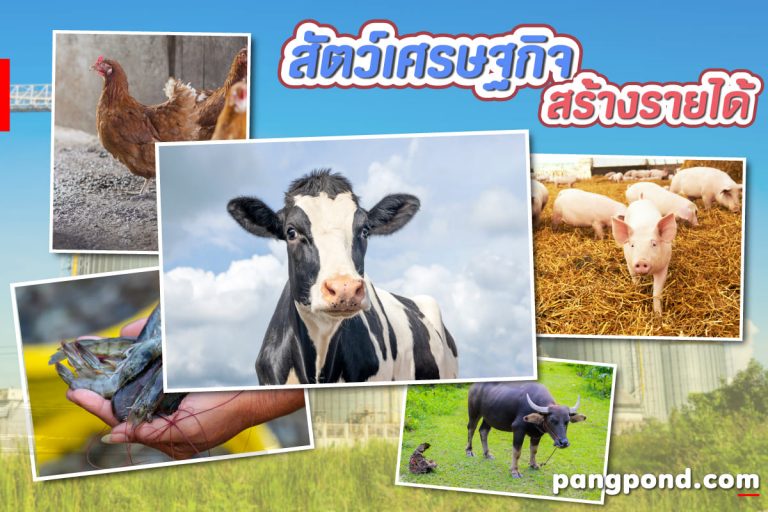 สัตว์เศรษฐกิจ