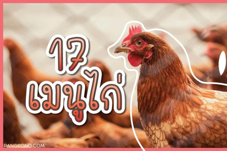 เมนูไก่