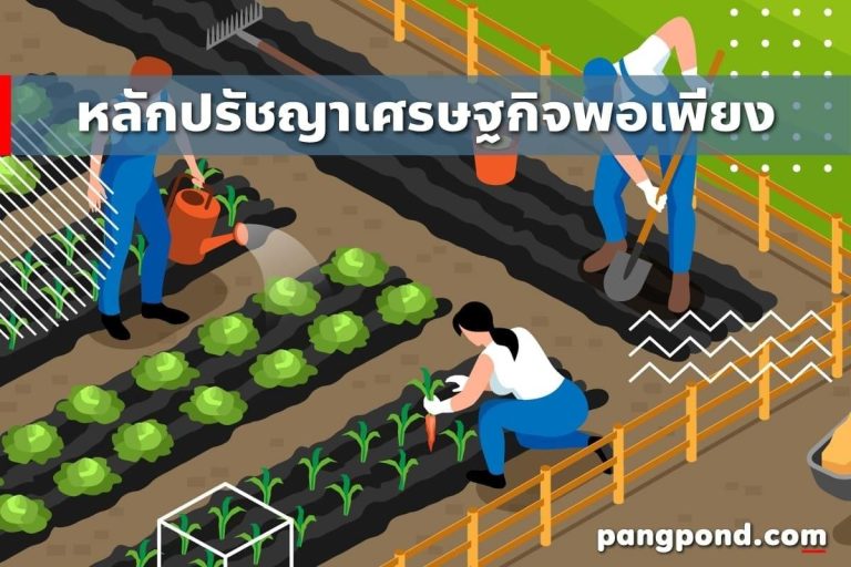 เศรษฐกิจพอเพียง